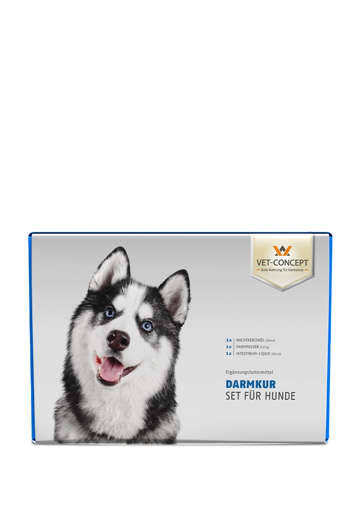 Darmkur Hund