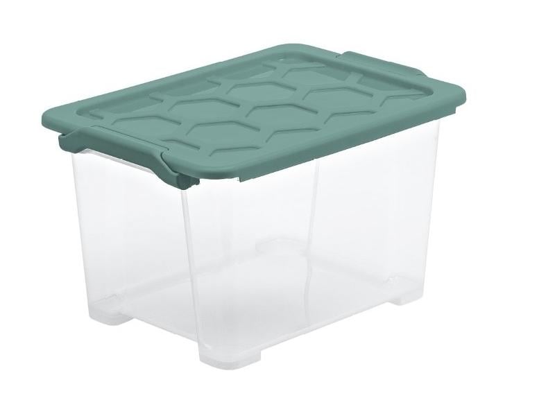 Rotho Aufbewahrungsbox Evo Safe 15 l, Grün/Transparent Box mit Deckel