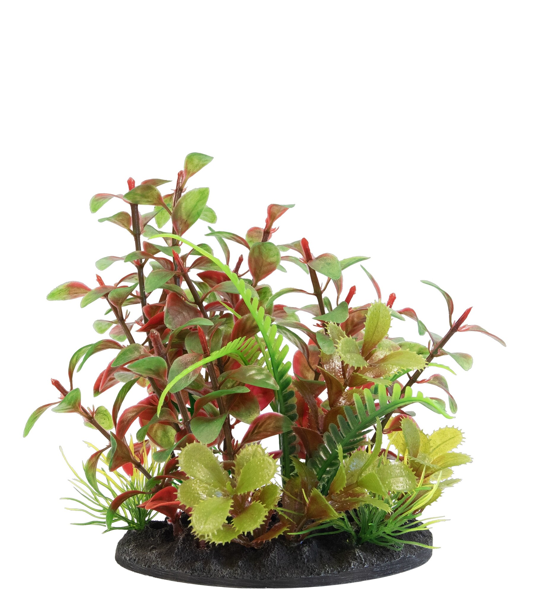 Deco Plant S2