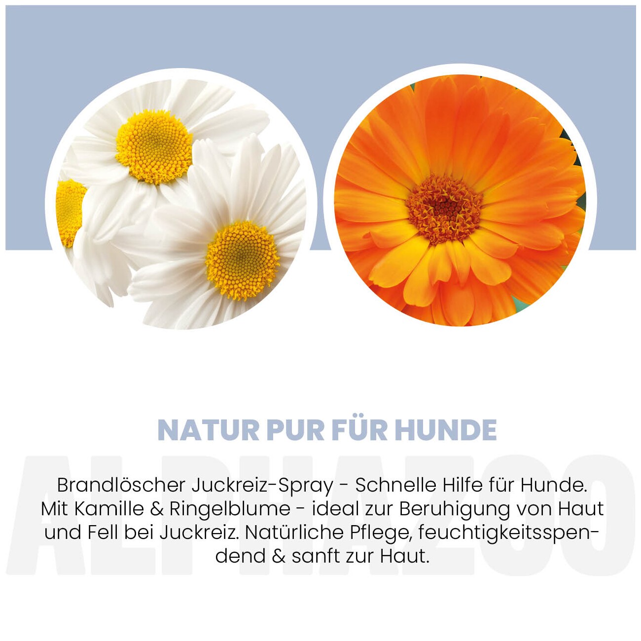 ALPHAZOO Brandlöscher Anti Juckreiz Spray für Hunde I Sanfte Beruhigung