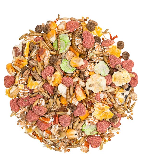 Dehner Premium Hamsterfutter, 750 g