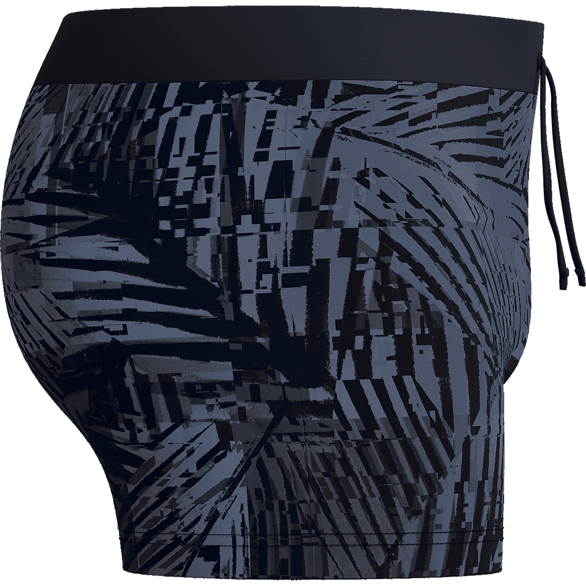 Speedo Valmilton Aquashorts Herren monument
