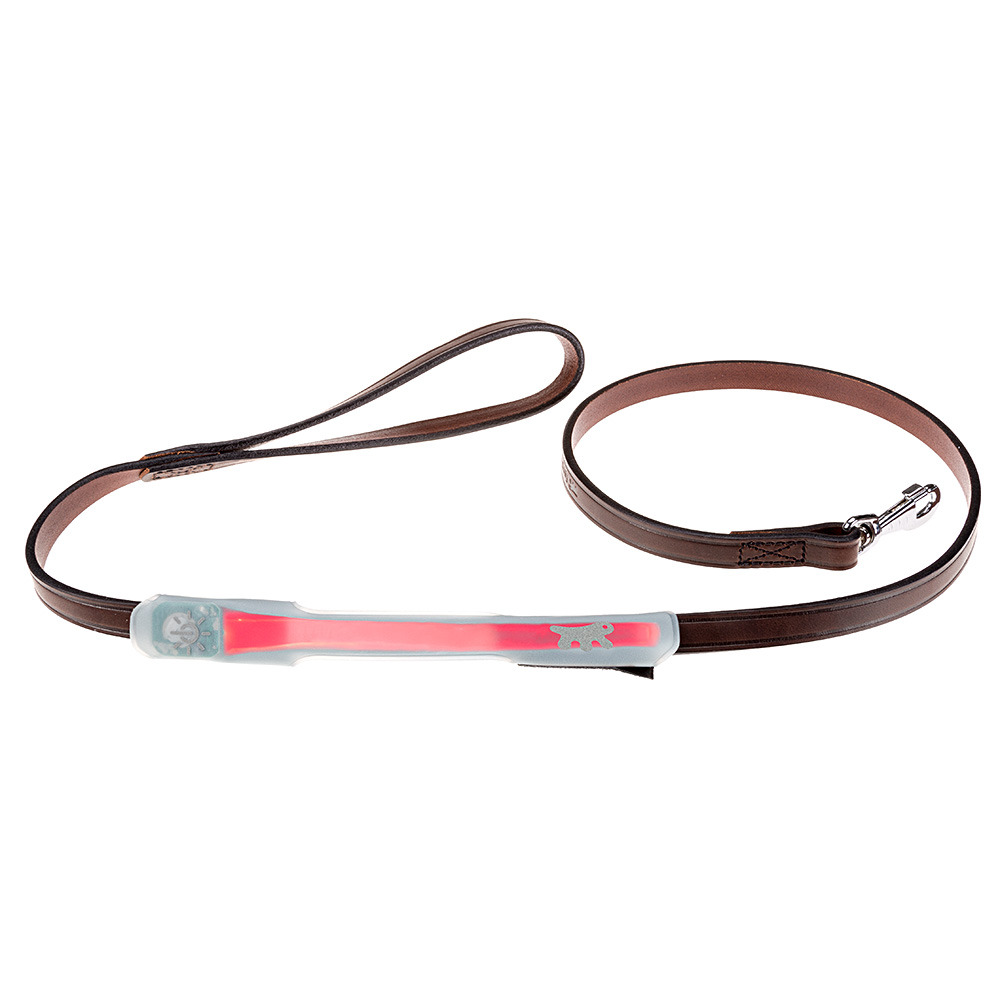 Couverture de laisse à led pour chiens, night over-lead, à piles, application avec velcro
