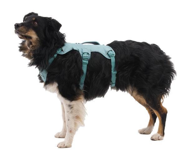 RUFFWEAR® Hundegeschirr Web Master™
