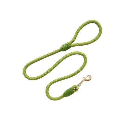 Guia redonda para cães em nylon verde estilo Arppe