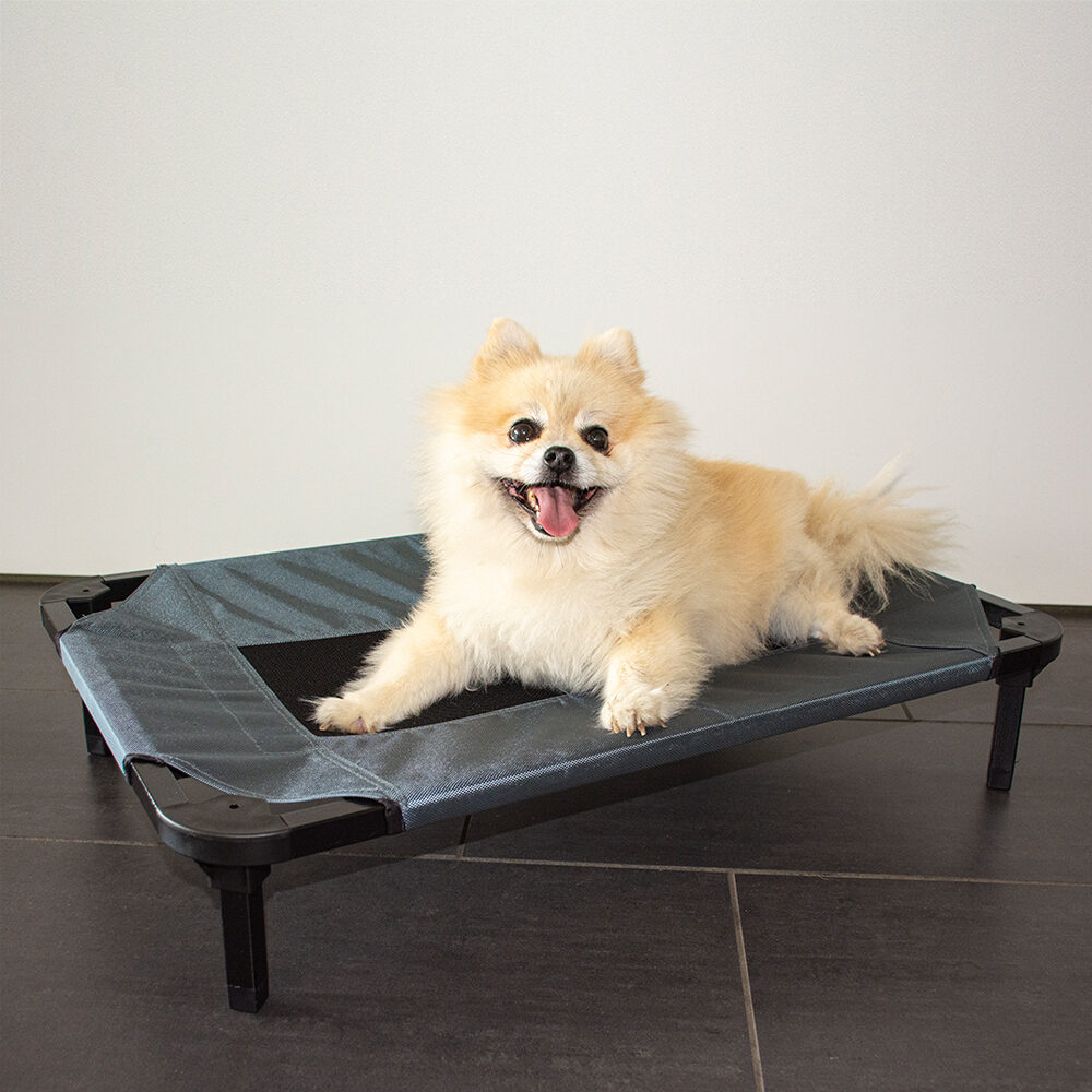 Duvo+ Hondenstretcher Relax