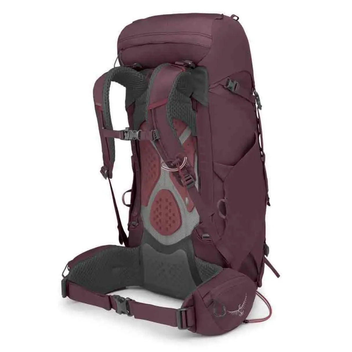 Osprey<br>Kyte 38