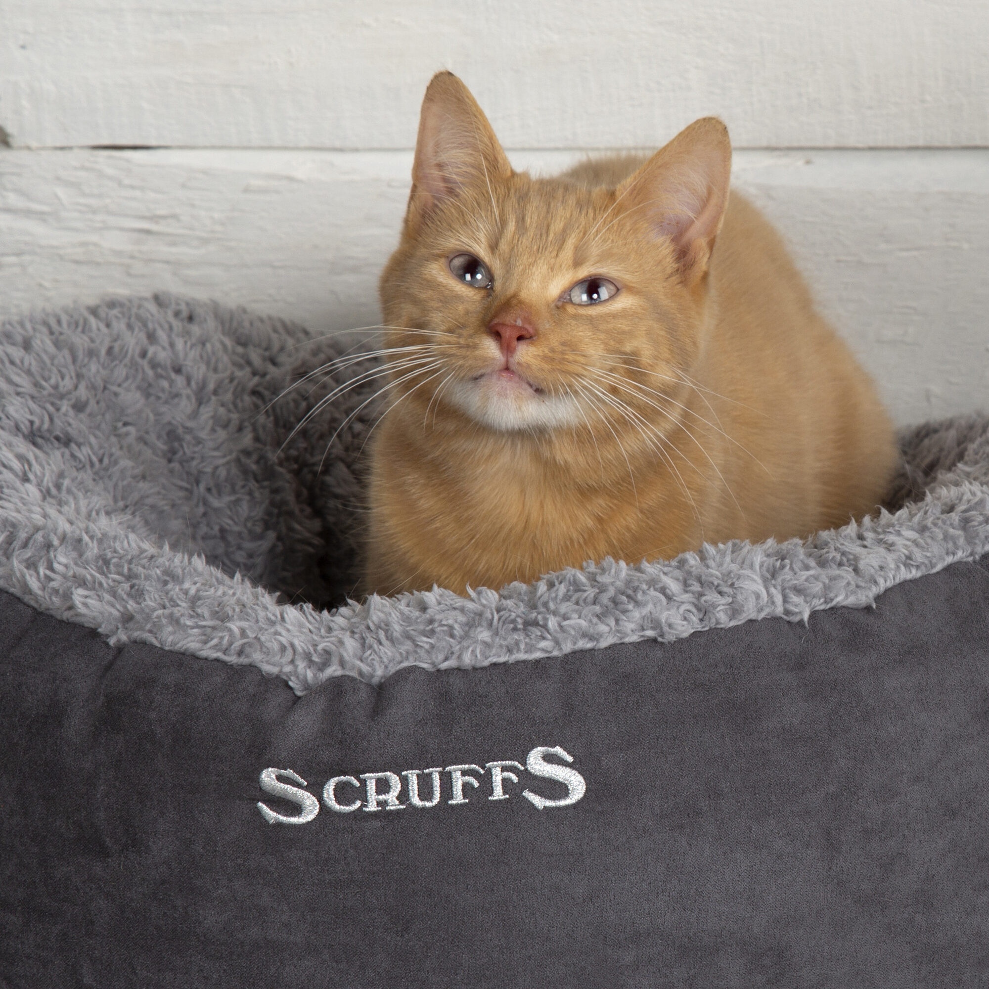Scruffs Cosy Kattenmand