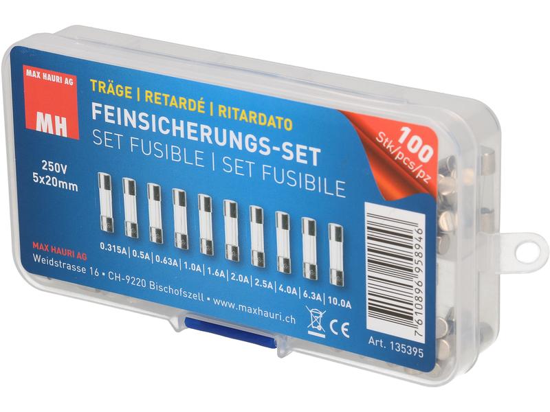 Max Hauri Schmelzsicherung Set 5 x 20 mm Träge, 100 Stück Schmelzsicherungs-Set (Feinsicherung, Träge (T))