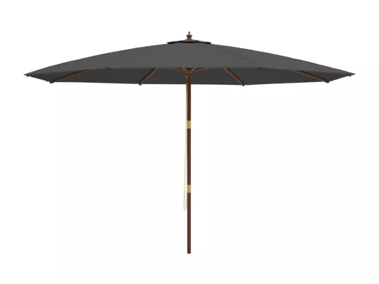 Parasol de jardin avec mât en bois anthracite 400x273 cm