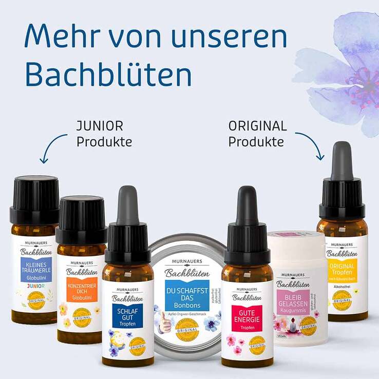 Bachblüten Murnauers Tropfen Schlaf Gut, 20 ml