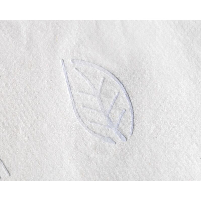 Papier toilette Mini Jumbo double épaisseur Tork T2 Premium - 12 rouleaux de 170 m