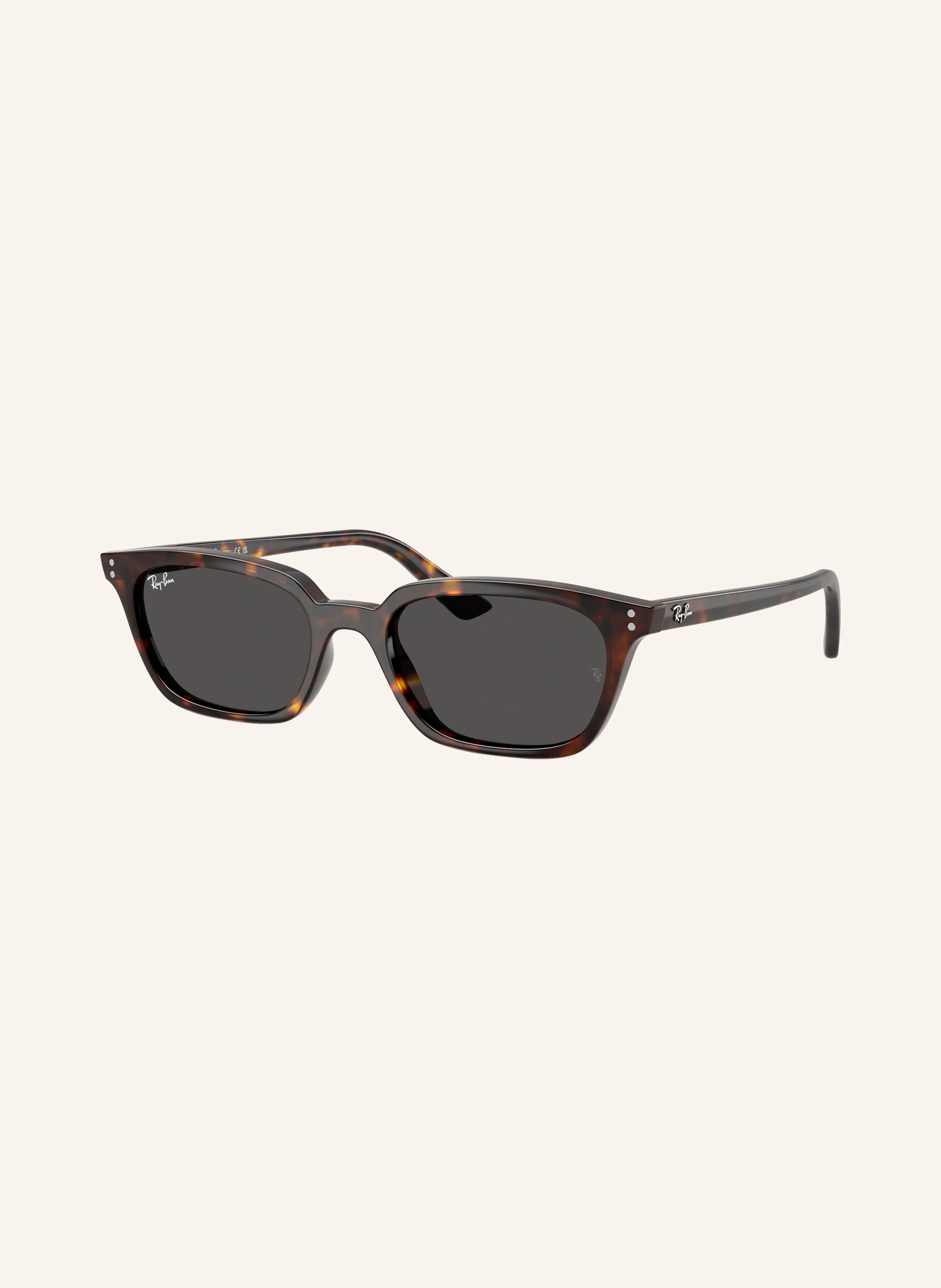 Ray-Ban Sonnenbrille RB4456