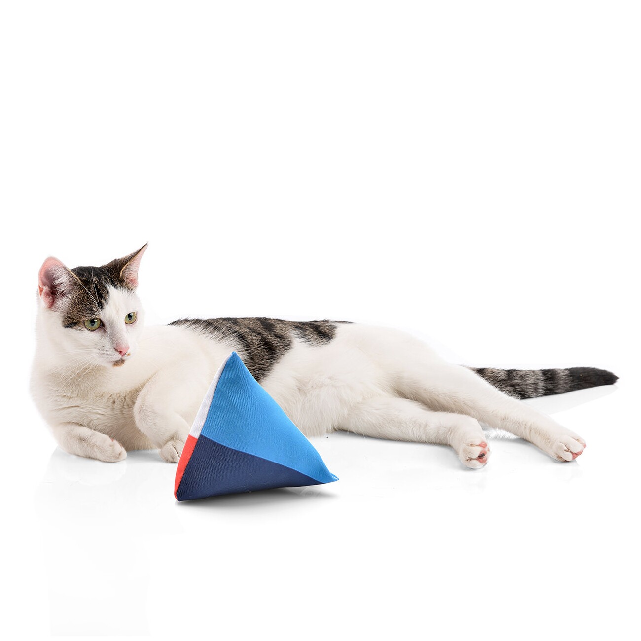 Canadian Cat Company Catnipspielzeug 6x Schmusepyramide Nordic 4-Color