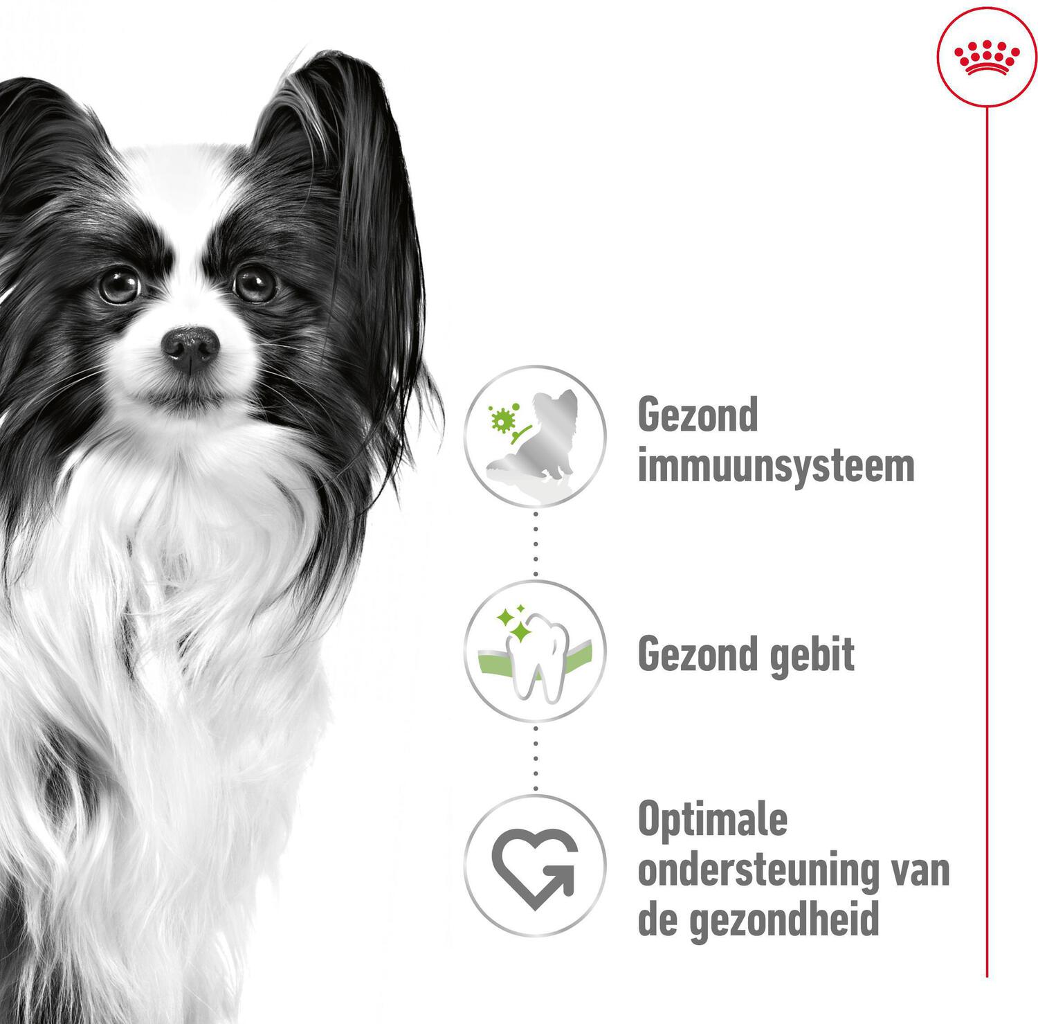 Royal Canin hondenvoer X-Small adult 1,5 kg