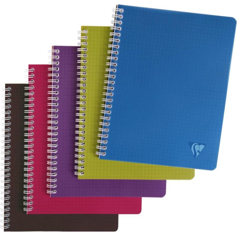 Cahier reliure intégrale Linciolor INTENSIVE 17x22cm 100 pages petits carreaux couverture plastique polypropyène rainuré Couleur aléatoire - Assortis