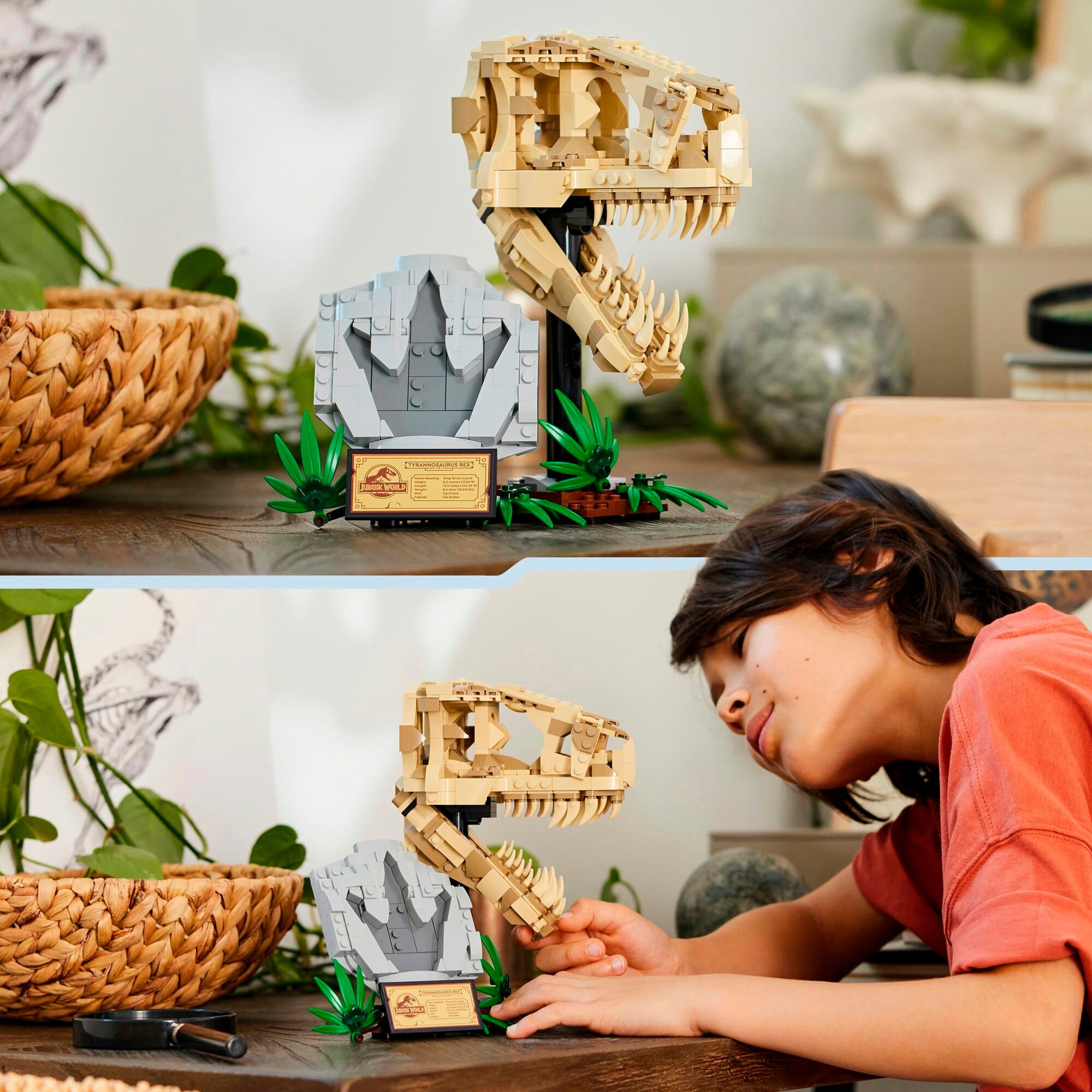 LEGO Konstruktionsspielzeug Jurassic World Dinosaurier-Fossilien: T.-Rex-Kopf