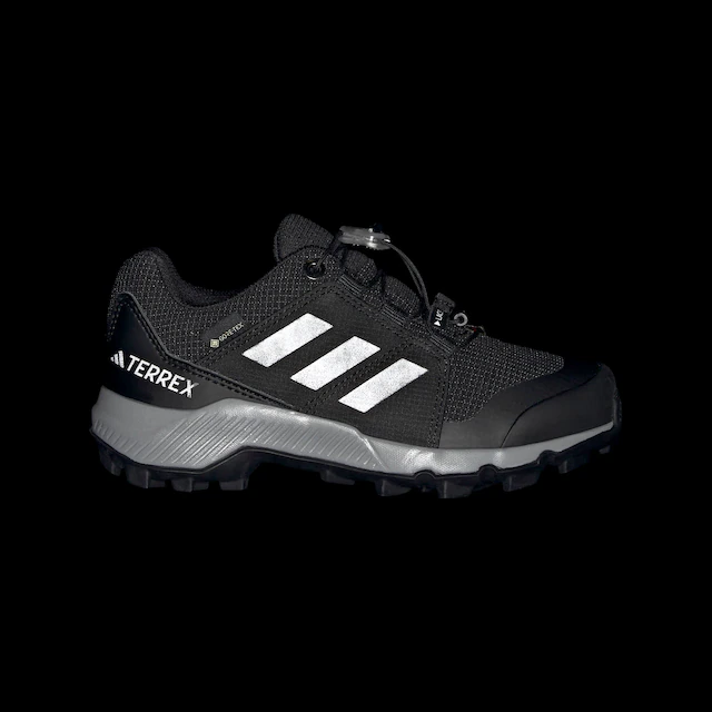 adidas TERREX Wanderschuh »TERREX GORE-TEX«  wasserdicht dank Gore-Tex Membrane