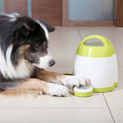 Trixie Dog Activity Memory Trainer Intelligenzspielzeug