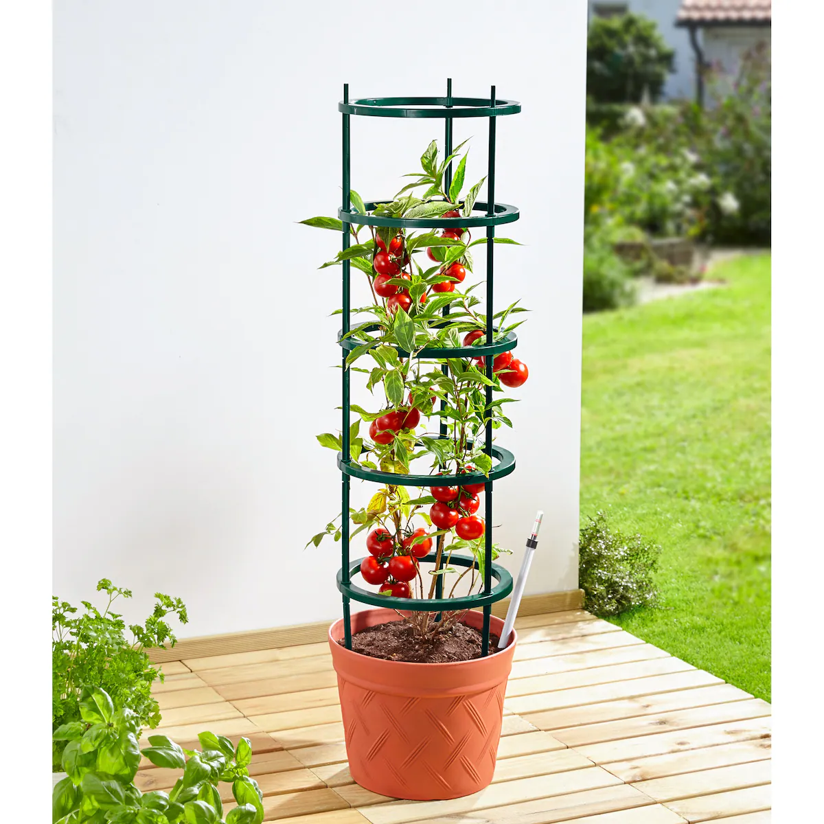 genialo - Tomaten-Pflanztopf 