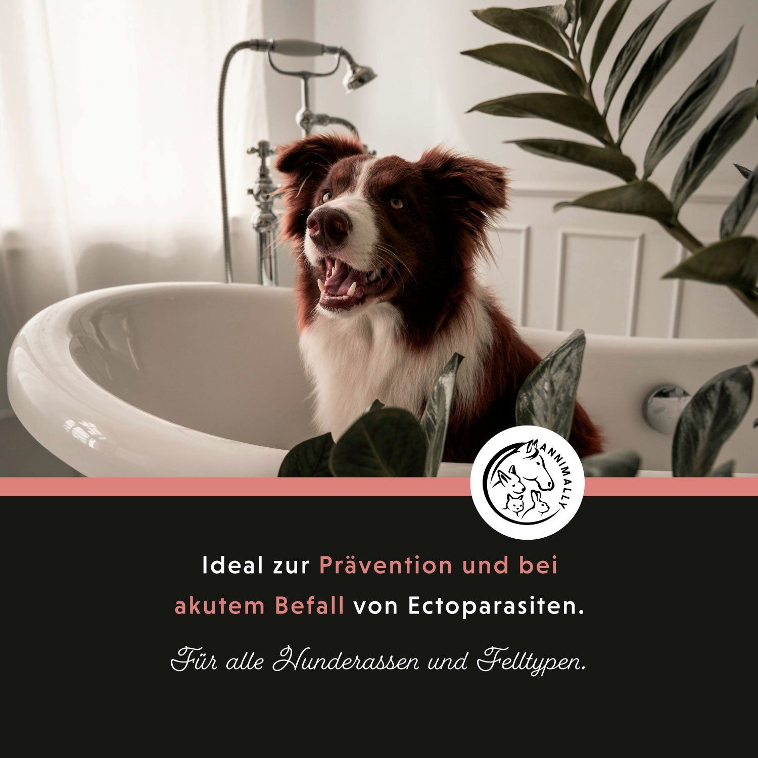 Annimally Anti Ecto Zecken- & Floh-Shampoo