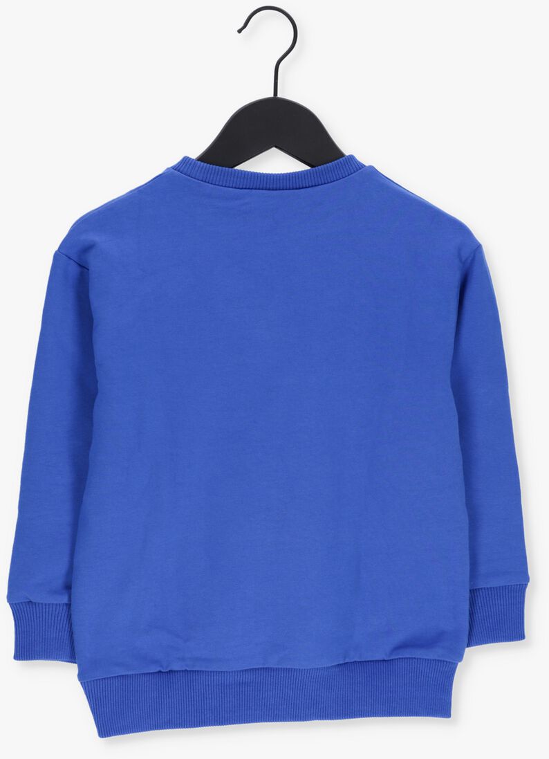 CARLIJNQ blauwe carlijnq trui serpent - sweater with print