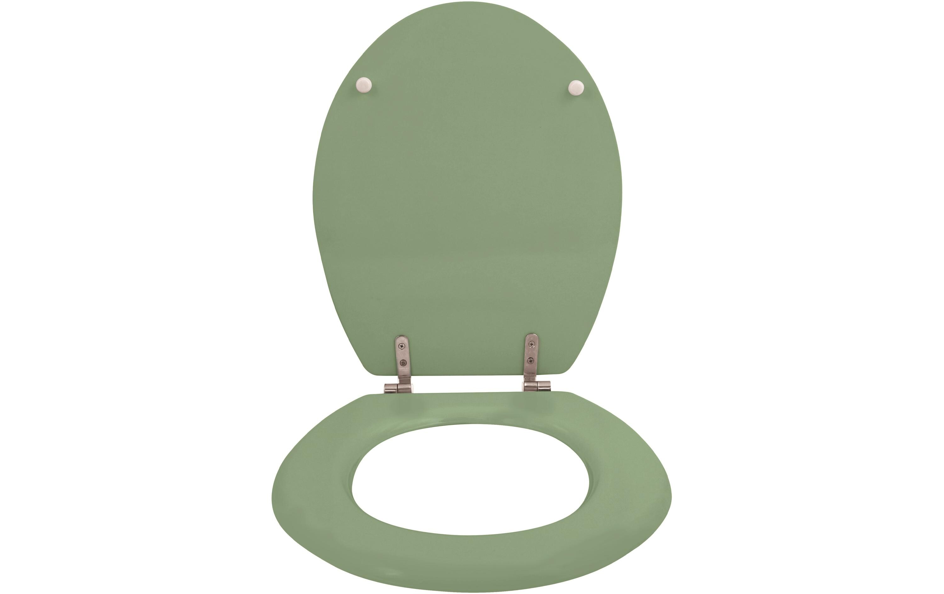 Toilettensitz GrünWC-Sitz aus MDF mit Edelstahlscharnieren