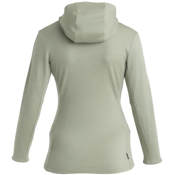 Veste polaire randonnée ICEBREAKER W MERINO 260 QUANTUM IV LS ZIP HOODIE LICHEN