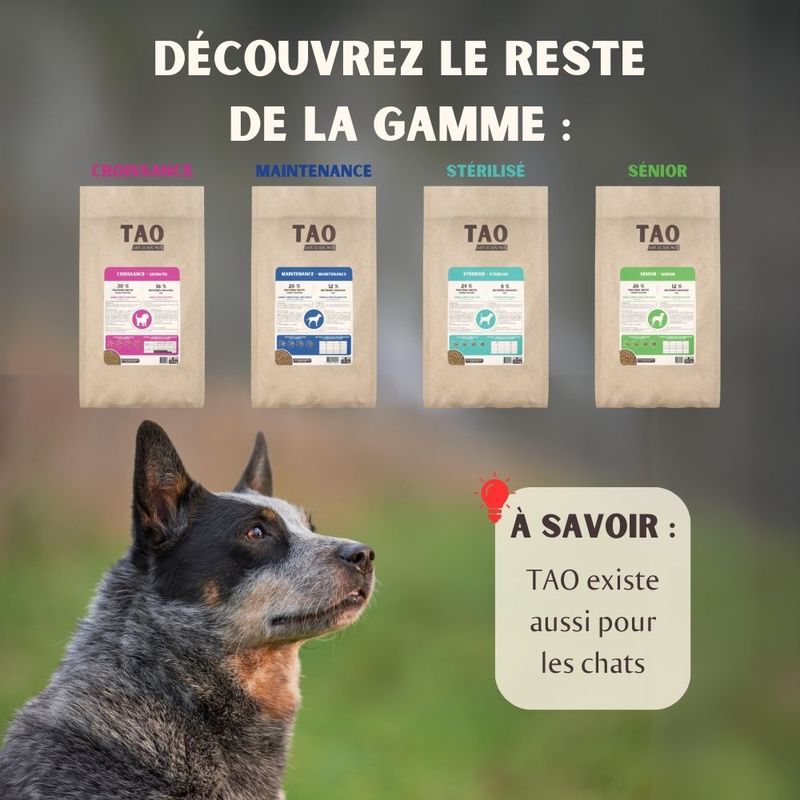 Nutrivet TAO Energy