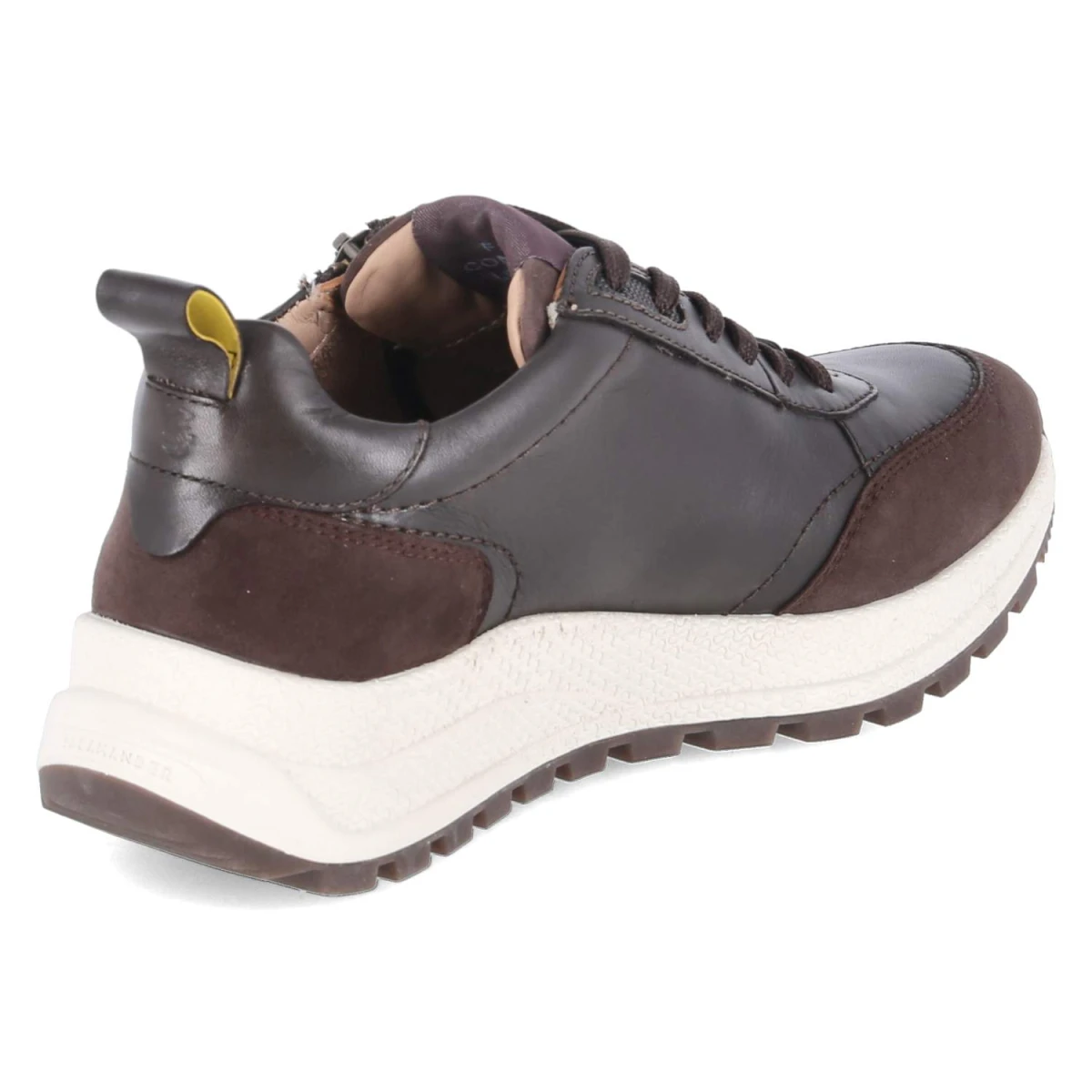 SalamanderLow Sneaker - dark brown / brown