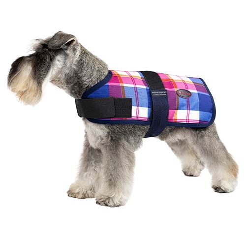 Layer + Trendy Breathe Comfort Cereja LAYER + TRENDY BREATHE COMFORT CEREJA 25CM