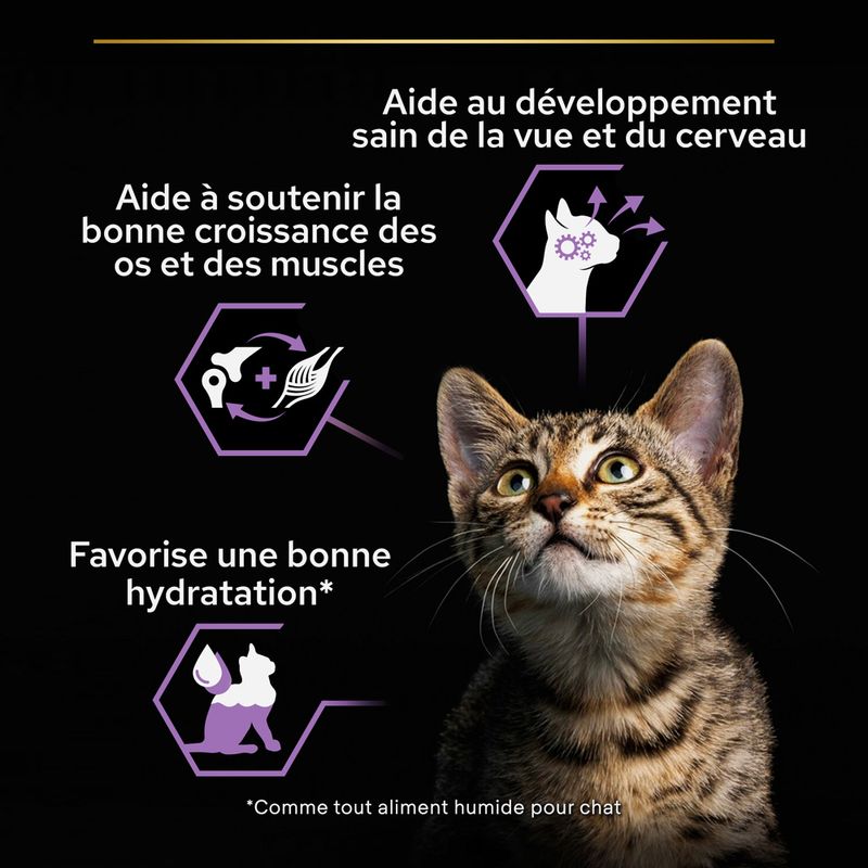 PURINA PRO PLAN Junior 10 x 75 g pour chaton