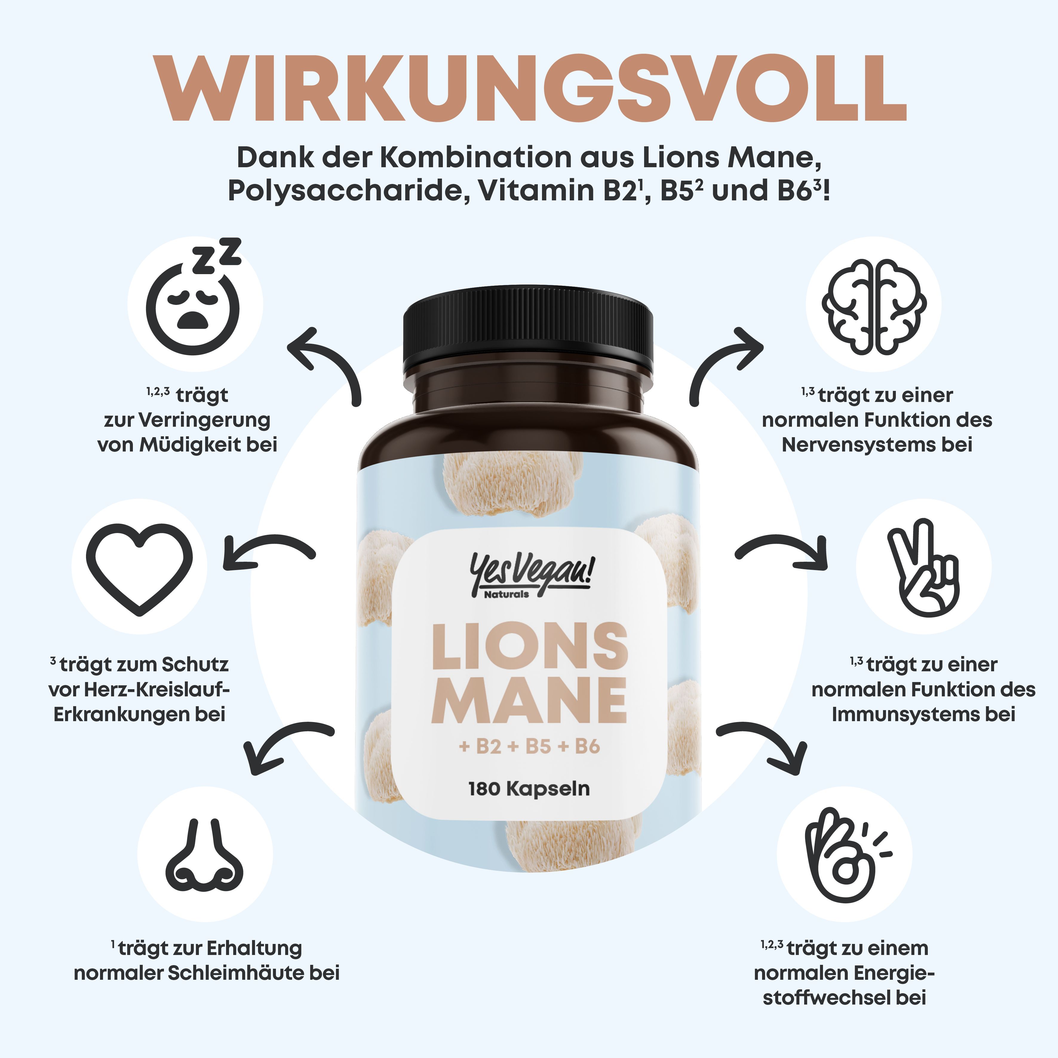 Lions Mane - 1950mg je Tagesdosis - Extrakt (entspricht 19.500mg Hericium Erinaceus) PREMIUM