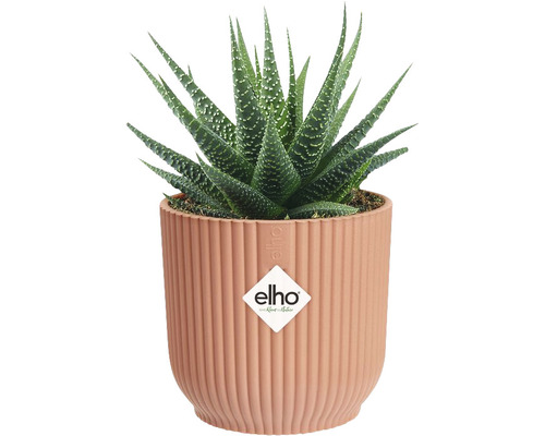 elho Vibes fold ronde mini plastic plantenbak Ø 9,3 cm H 8,8 cm roze
