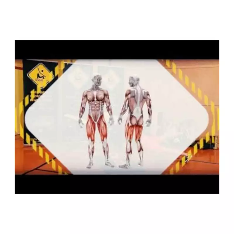 Planche équilibre ROLLERBONE FitBone Board