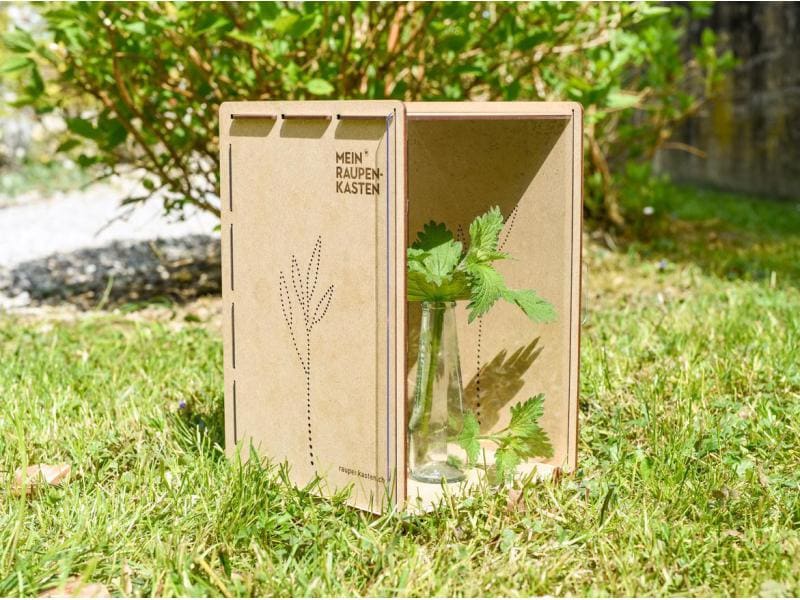 Mein Raupenkasten Insektenhotel Raupenkasten Aufzucht-Box