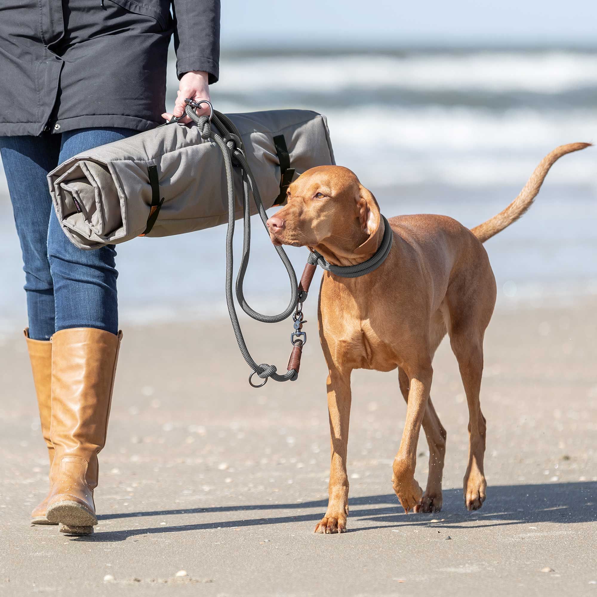 Trixie Hundedecke - BE NORDIC - Moin