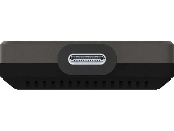 iiyama WP D002C - Streamingadapter til netværksmedie - sølv/sort