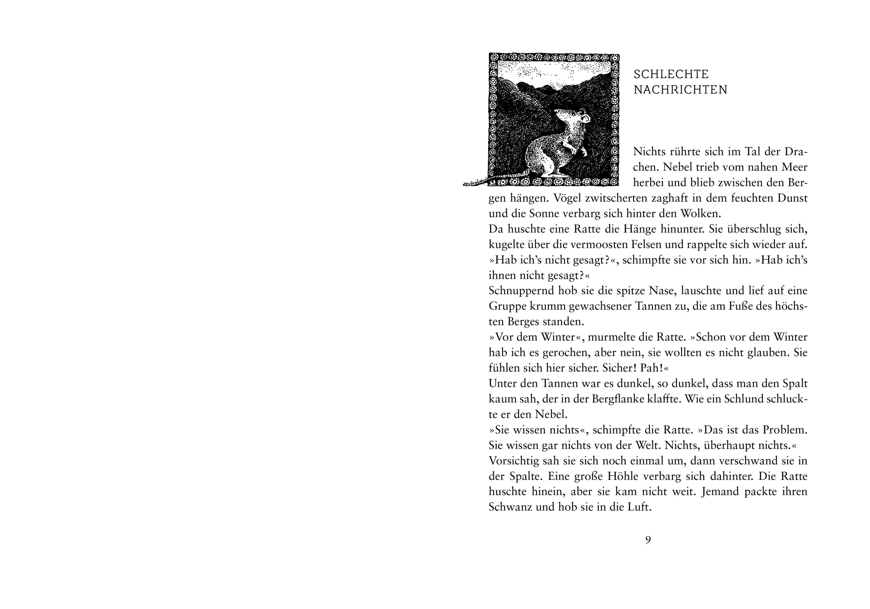 Drachenreiter Bd.1