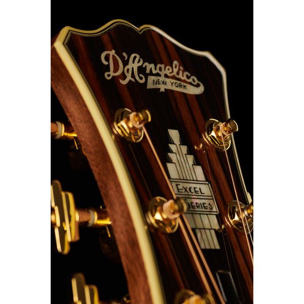 DAngelico Excel Gramercy Autumn Burst