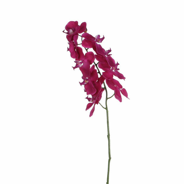 Mica Decorations Kunstbloem Orchidee tak - diep roze - 71 cm - Kunst zijdebloemen - Kunstbloemen