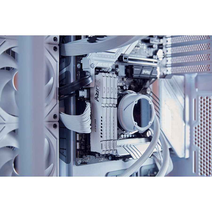 Kingston Fury Beast White - 1 x 16 Go (16 Go) - DDR5 6000 MHz - CL30