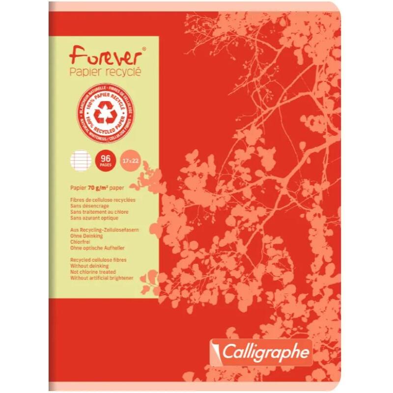 Cahier piqué FOREVER 17x22 cm 96 pages grands carreaux 70 g - Assortis