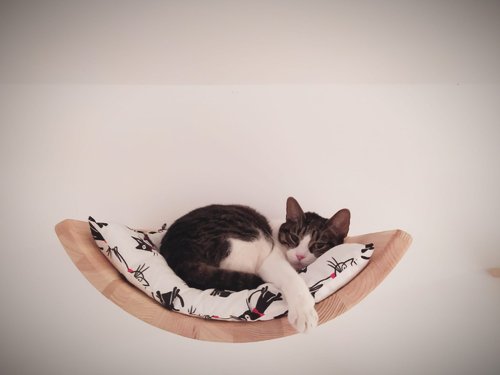 Cama curva