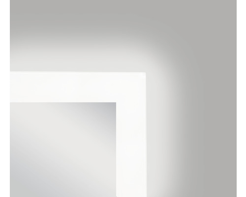 LED badkamerspiegel DSK Silver Venus 60x80 cm IP 24 (spatwaterdicht)