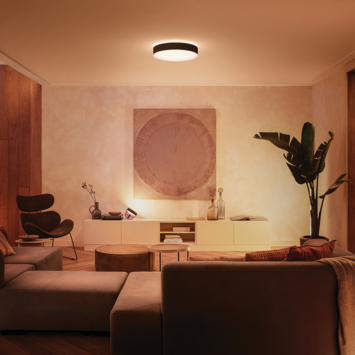 Philips Hue plafondlamp Enrave zwart 55 cm