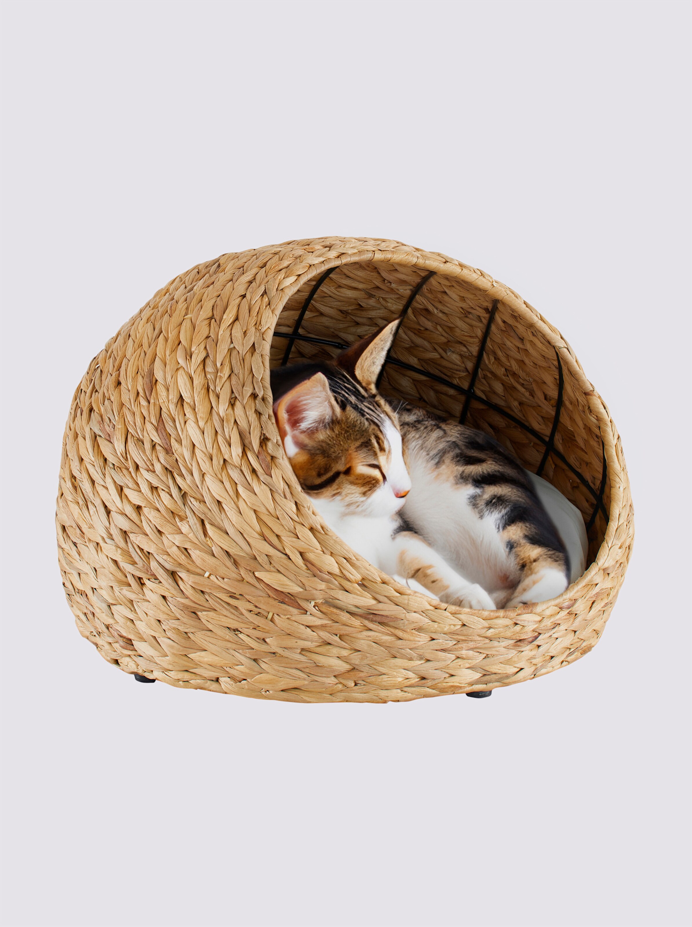 Katzenkorb