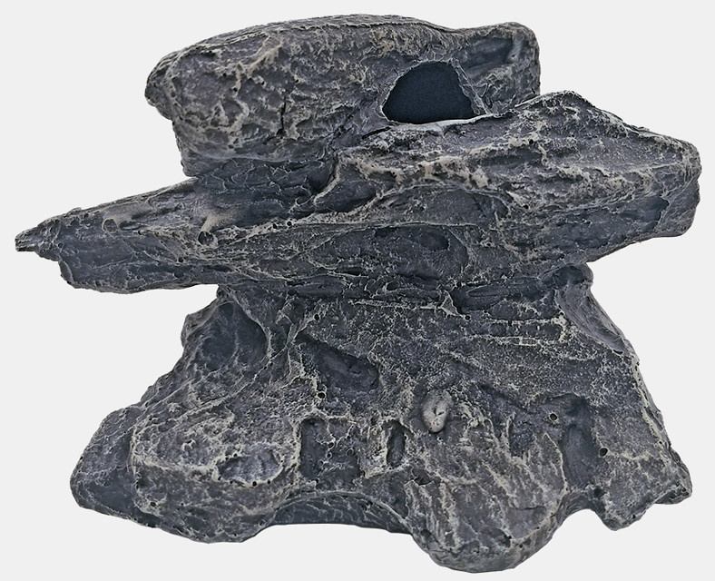 Plantenpakket in vitro bakje
