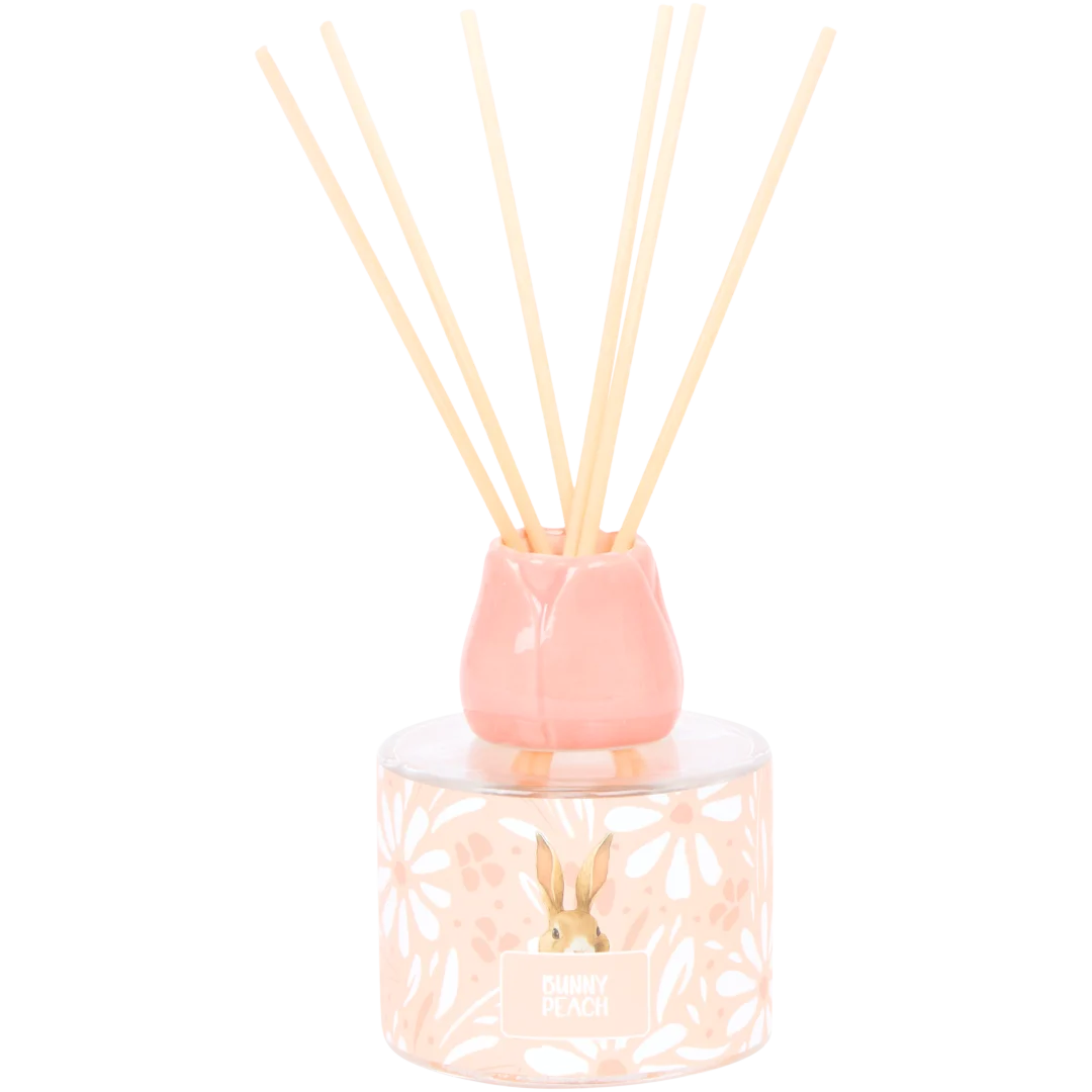 Diffuser 100 ml | diverse varianten