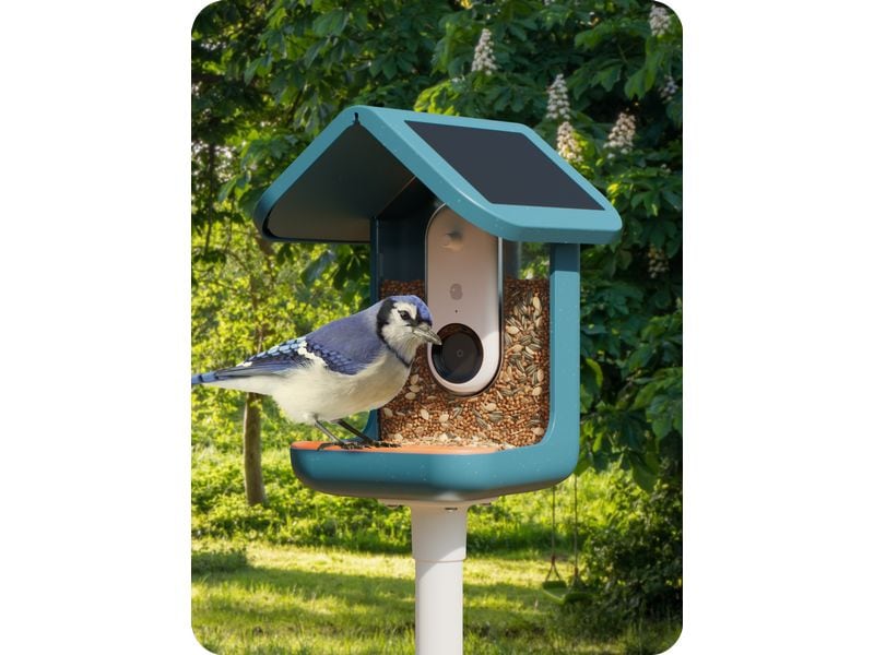Birdbuddy Futterspender 2.0 mit Solardach und AI Vogelerken Vogelhaus mit integrierter Kamera und Solardach